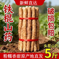 果邮 铁棍山药新鲜正宗河南焦作温县垆土5斤蔬菜铁杆铁棒怀山淮山药