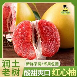胡鲜森 海南三红蜜柚
