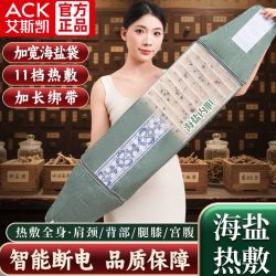艾斯凯 盐袋热敷海盐电加热家用护腰带肩颈腰部加热袋子粗盐艾灸包