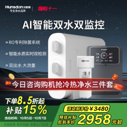 汉斯顿 净水器家用直饮厨房无桶大流量500G双出水净水机ro纯水C2