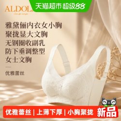 雅黛俪 内衣女小胸聚拢显大文胸无钢圈收副乳防下垂调整型女士文胸