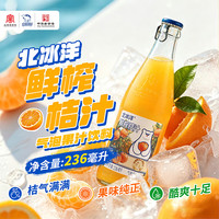 北冰洋 老北京玻璃瓶果汁碳酸饮料 北平制冰厂鲜榨桔汁汽水236ml*12瓶