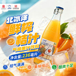 北冰洋 老北京玻璃瓶果汁碳酸饮料 北平制冰厂鲜榨桔汁汽水236ml*12瓶