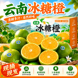 物鲜仙子 云南哀牢山冰糖橙新鲜应当季现摘甜橙孕妇水果整箱手剥皮橙子 5斤 单果60mm+净重4.5斤
