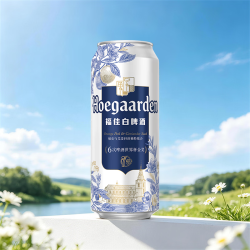 福佳 比利时风味白啤酒 500ml*12听