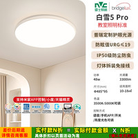 雷士 照明白雪5Pro 普瑞全光谱 48W防眩护眼 智能遥控 IP50防蚊虫
