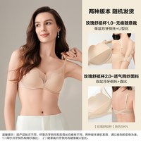 安莉芳 网纱收副乳小胸聚拢内衣女无钢圈显大文胸罩