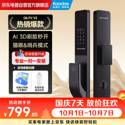 凯迪仕 Q6FV升级款 AI实时监控 智能门锁