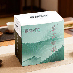 安吉白茶 小罐茶茗茶 3g×8袋