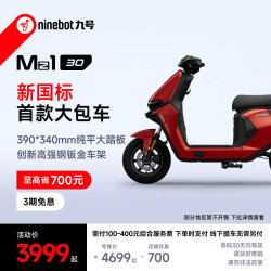 九号 Mz1 30 电动自行车
