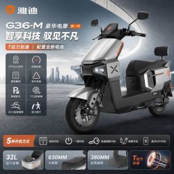 雅迪 [雅迪]正品电动车G36-M超长续航强动力大功率通勤代步电动摩托车