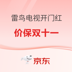 雷鸟电视新品开门红保价双11 音画质体验全面升级