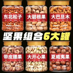 狸三少 年货坚果小零食组合食品干果大礼包整箱散混合装称斤批发礼盒大全