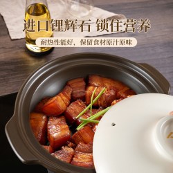 爱仕达 耐高温干烧不裂 陶瓷砂锅 【可翻炒】1.5L加厚干烧不裂（适合1-2人）【6年烧裂免费换新】