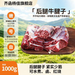 齐函杨佳 安格斯牛腱子前腿金前腱新鲜牛腱 1000g（肉里包筋）
