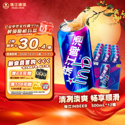 珠江啤酒 inb啤酒 500ml*12罐