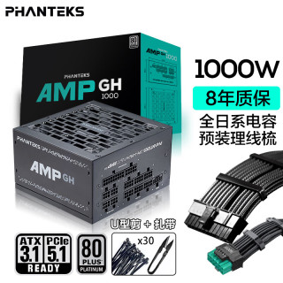 追风者 AMP GH1000W 白金牌（92%）全模组ATX电源 1000W 黑色