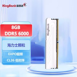 金百达 银爵DDR5内存6000台式机电脑游戏电竞马甲内存条办公6400海力士颗粒Adie颗粒16GB 32G 银爵6000海力士M颗粒C36