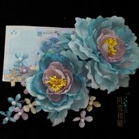 风雪初晴有钱花系列不蕉绿绝绝紫不摆蓝糖太棕放青松发财红古风