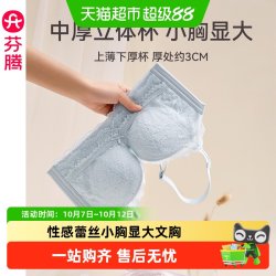 芬腾 女士内衣性感蕾丝透气小胸显大舒适文胸无钢圈上托防下垂胸罩