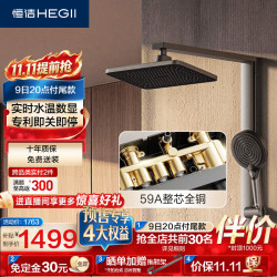 恒洁 D50 Pro 即关即停 全铜方管花洒套装 DMF967-334S-SH
