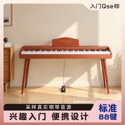 梵西 FANLSEEY梵西q1便携式88键重锤家用幼师教学初学者考级专用电钢琴