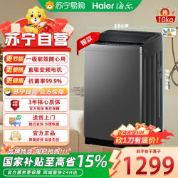 海尔 波轮洗衣机EB100B52Mate1