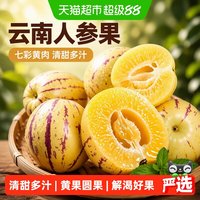 寻天果蔬 云南人参果 圆果黄肉 2.5kg 新鲜水果