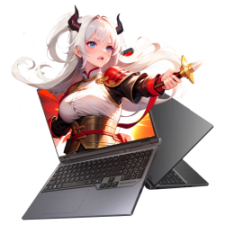 机械革命 蛟龙16Pro R5-7640H RTX4050 16G+1T 灰色 游戏本