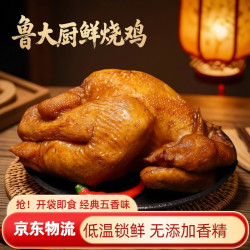 鲁大厨 烧鸡整只鸡山东特产五香鸡熟食开袋即食下酒菜卤味真空