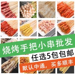 亿宏盛 批发手把小串夜市烧烤食材大全鸡肉串串香炸串半成品钵钵鸡羊肉串