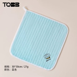 淘气宝贝 A类婴儿毛巾 30*30cm