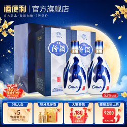 汾酒 青花20 清香型白酒 过节送礼 53度 500mL 2瓶 双瓶