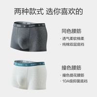 Hodo 男士内裤纯棉抗菌裆2026新款春夏四角裤男生大码平角裤短裤头