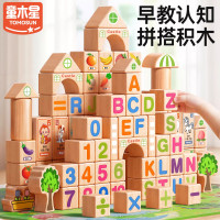 童木星 积木100粒积木（收纳袋）6大主题早教认知