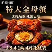 今日必买：阳澄逍遥 大闸蟹鲜活螃蟹 全母蟹3.8-4.1两8只
