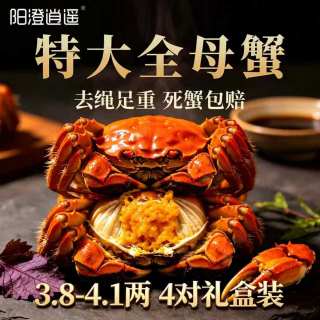 今日必买:阳澄逍遥 大闸蟹鲜活螃蟹 全母蟹3.8-4.1两8只