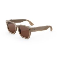 Meta AI 玻璃 - variation p, Sandstone / M