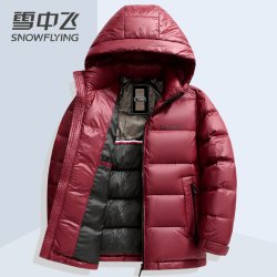 雪中飞 轻盈零压感羽绒服男亮面免洗中青年面包服加厚保暖冬季外套