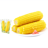 馋乡玉 当季新货 东北黄糯玉米 1250g*6根 整箱