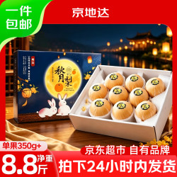 京地达 正宗山东莱阳秋月梨净重8.8斤单果350g+羊脂级冰糖梨新鲜自营水果