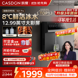 Casdon 凯度 KG1Pro 管线机