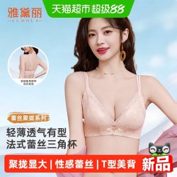 雅黛俪 内衣女大胸显小聚拢收副乳防下垂性感蕾丝夏季薄款美背文胸