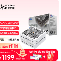 振华 LEADEX VIIP 1200W 白金电源  白色电源