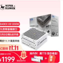 振华 LEADEX VIIP 1200W 白金电源  白色电源