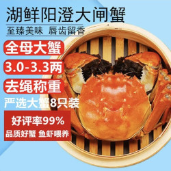 湖鲜阳澄 大闸蟹 去绳足重 全母蟹3.0-3.3两 8只 鲜活超大螃蟹中秋生鲜礼盒装