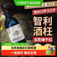 赛尚名庄 活灵魂 上普恩特干型红葡萄酒 2018年 750ml