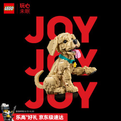 乐高 新年 积木拼装玩具