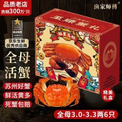 渔家师傅 漁家师傅大闸蟹全母2-2.3两6只去绳足重鲜活螃蟹现货生鲜水产礼盒中秋送礼