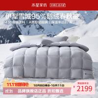 水星家纺 A类抑菌阻螨95%鹅绒春秋被芯防钻绒四季羽绒被子 寒域静暖抗菌鹅绒春秋被200×230cm